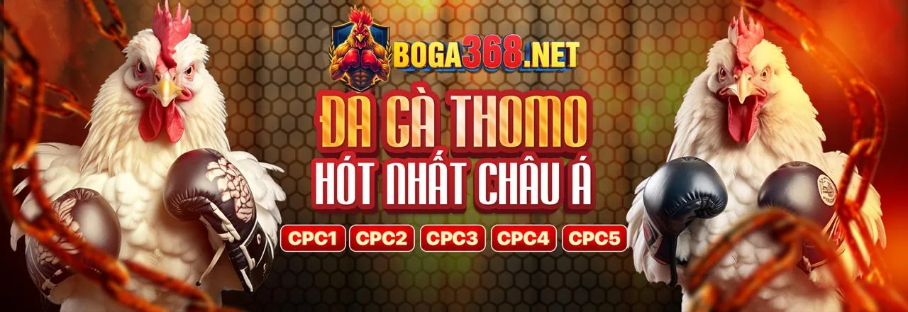 Đá Gà Trực Tuyến tf88 app